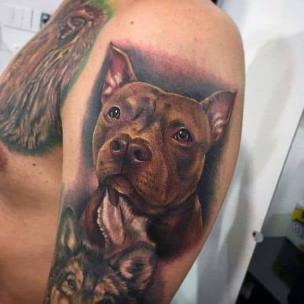 Pitbull Tattoo-Bilder