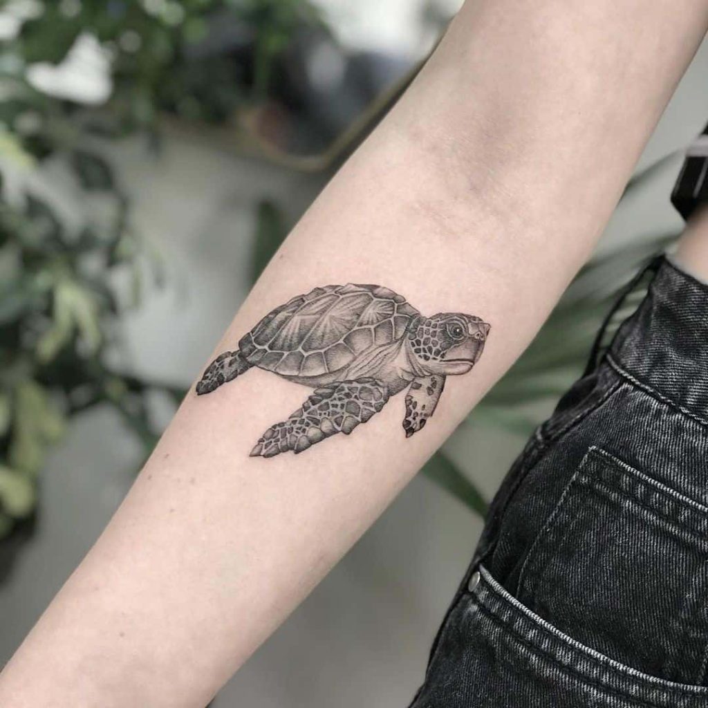 30+ Cool Sea Turtle Tattoos Design and Ideas - Tattoos Free